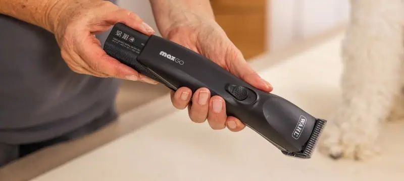 Tondeuse à batterie pour chien