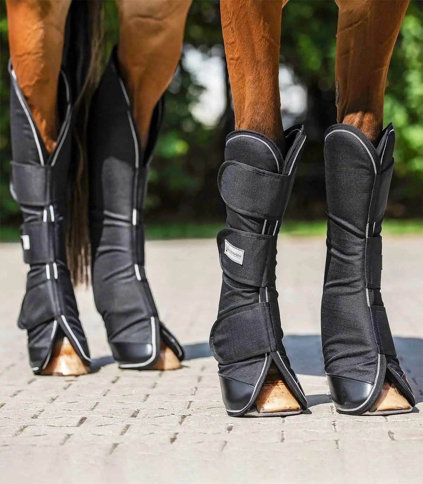 Guêtres de transport COMFORT Waldhausen, mousse anti-choc, lot de 4, Noir, COB