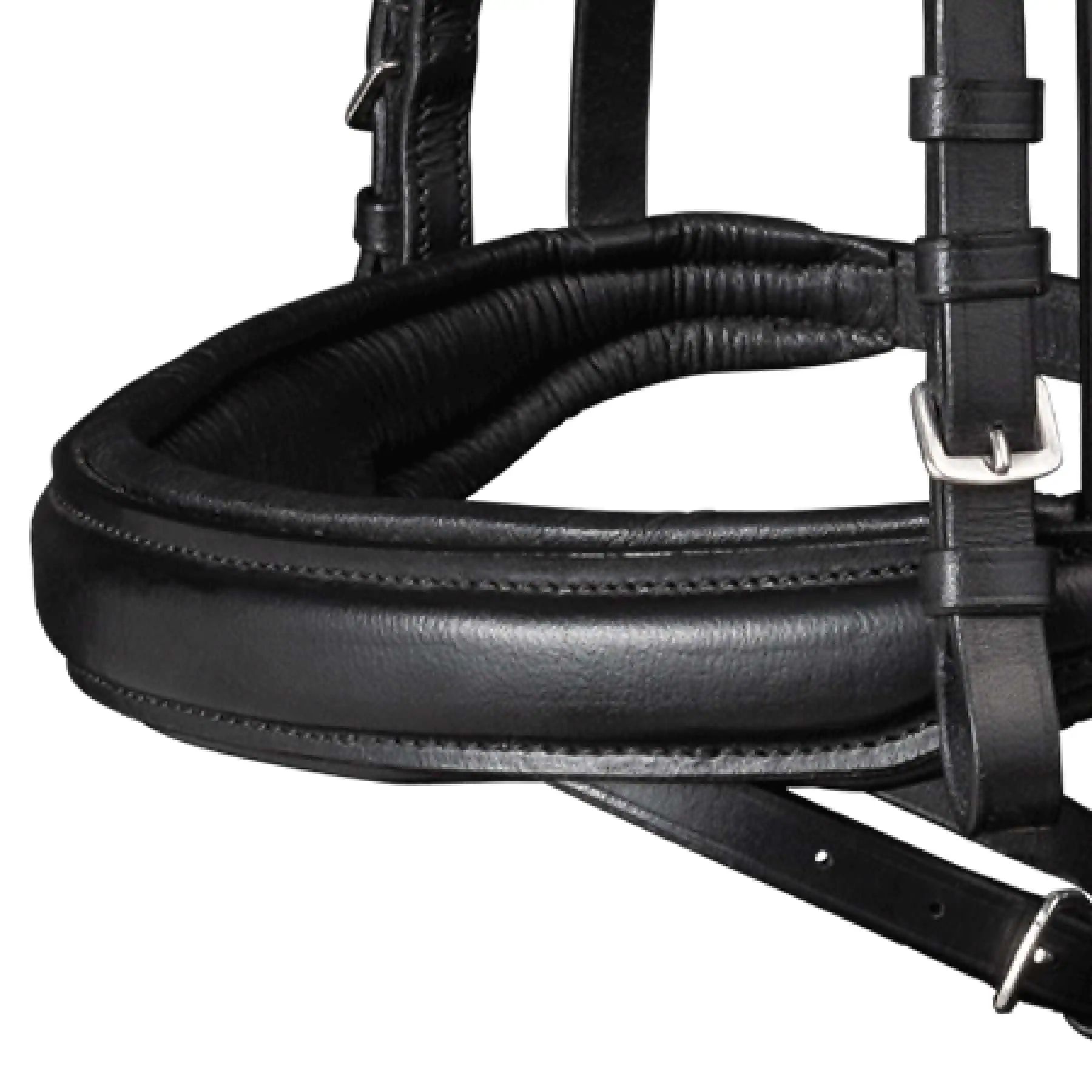 Waldhausen Bridon X-Line Beauty, Combiné Anglais, Noir, Cob