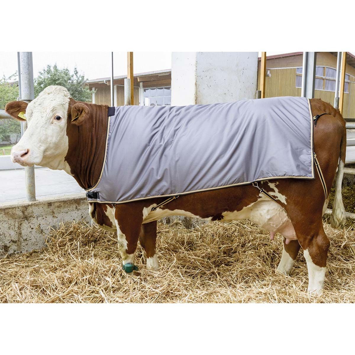 Kerbl tehéntakaró szarvasmarhához, melegítő takaró, 155 cm