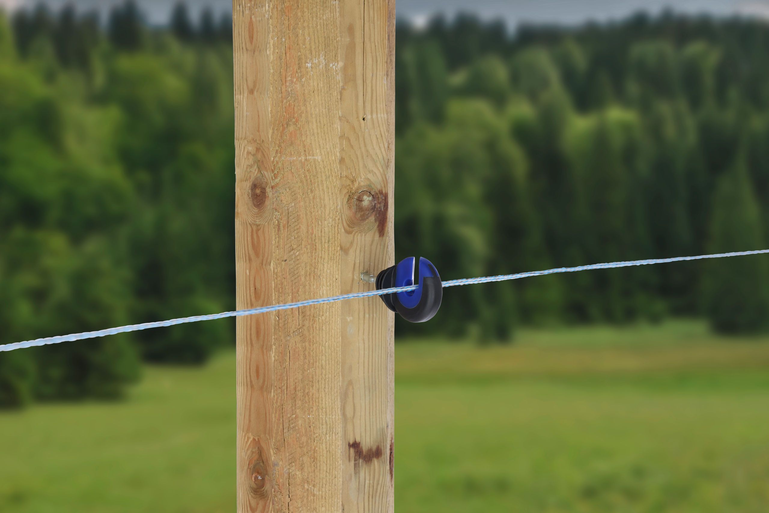 wooden post, fence wire, electric fence insulator, outdoor setup, nature background