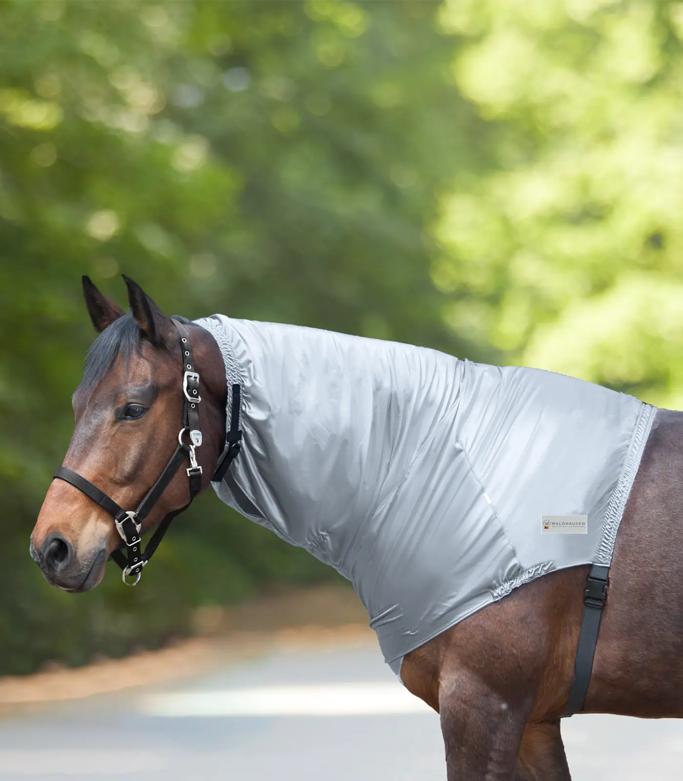 Waldhausen Ekcéma Nyakrész, ezüstszürke, FULL