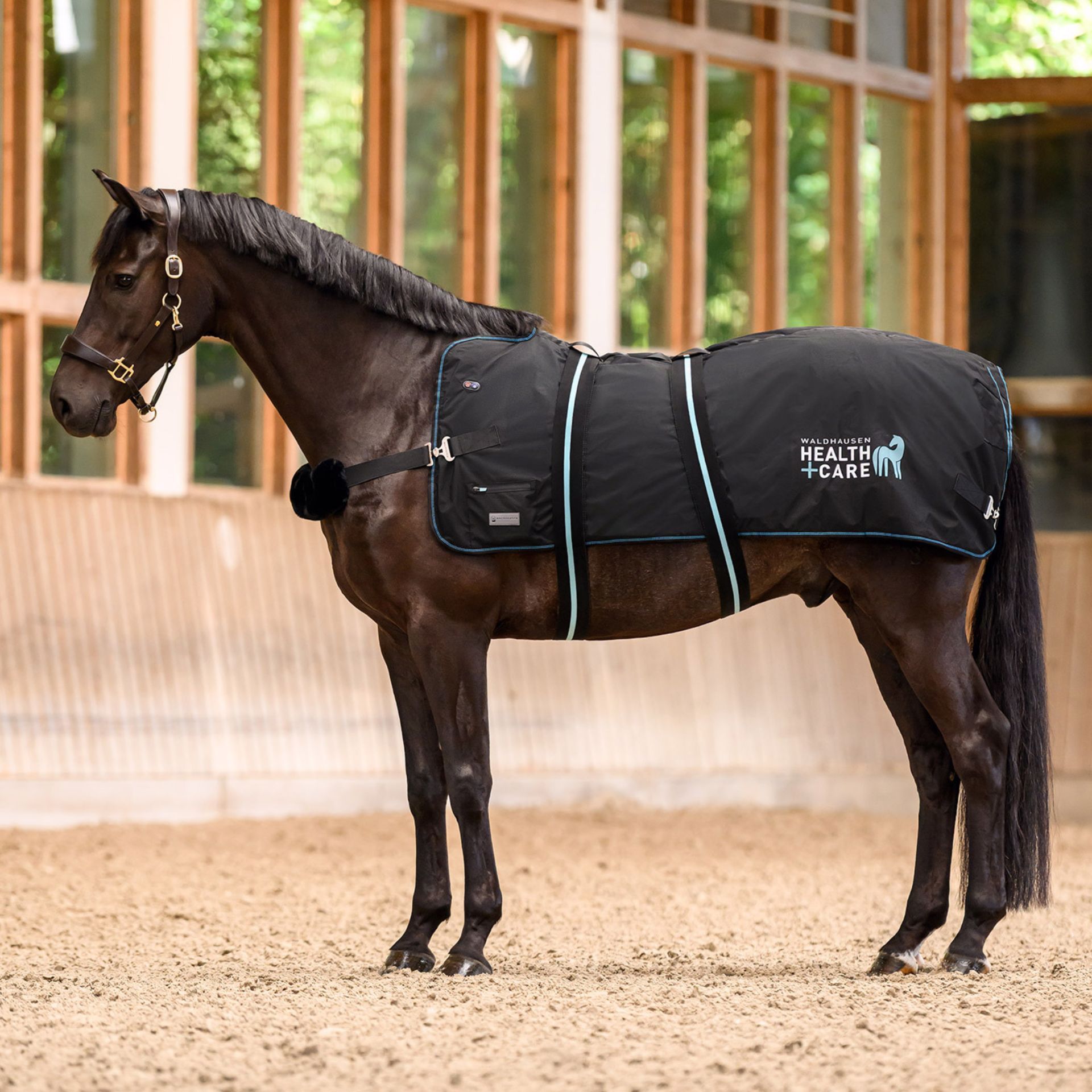 horse, blanket, saddle horse, stable, health care