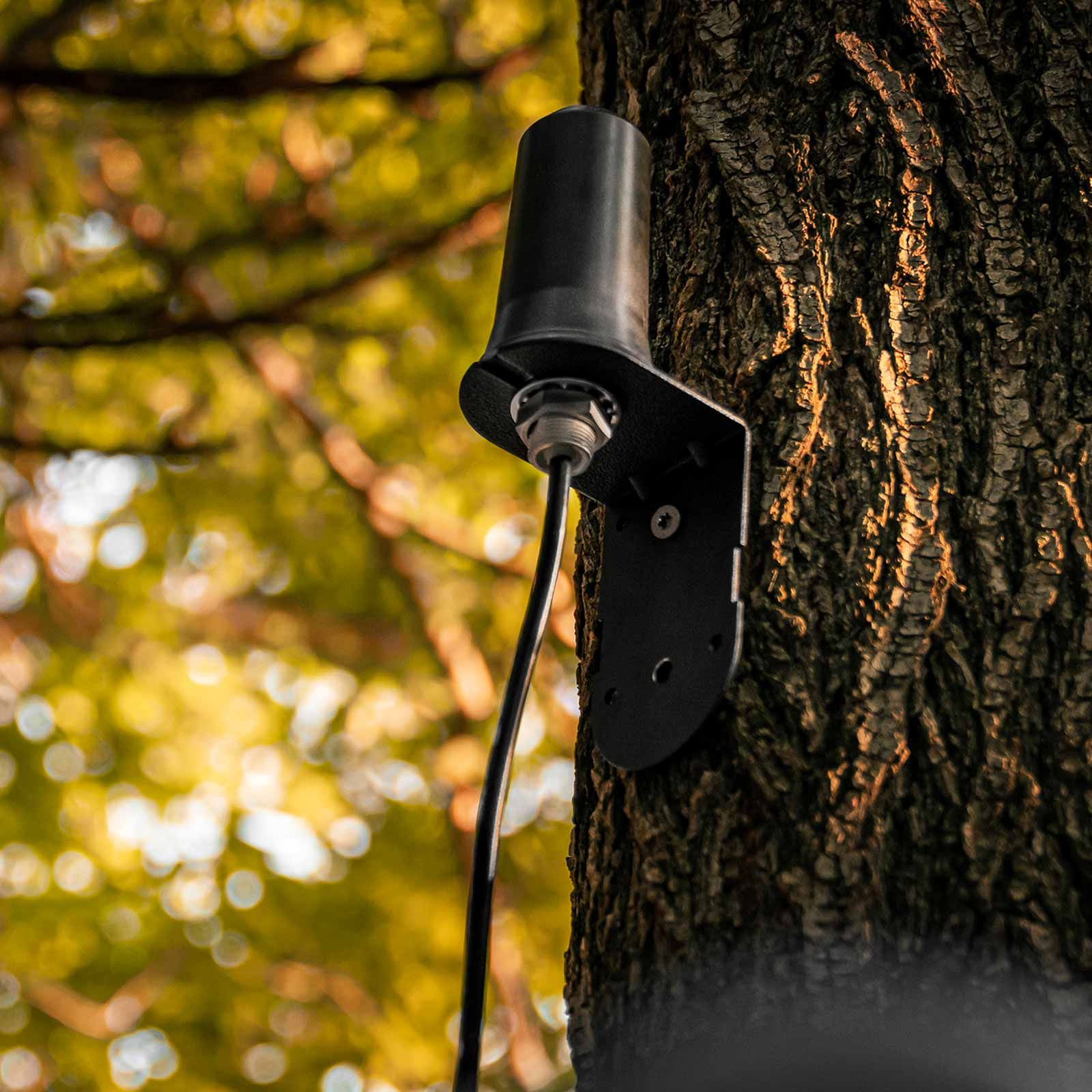 Spypoint CA-01 Antenne für Wildkameras, 4,6 m Kabel, im Einsatz