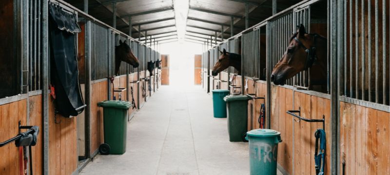 Stable equipment for horses