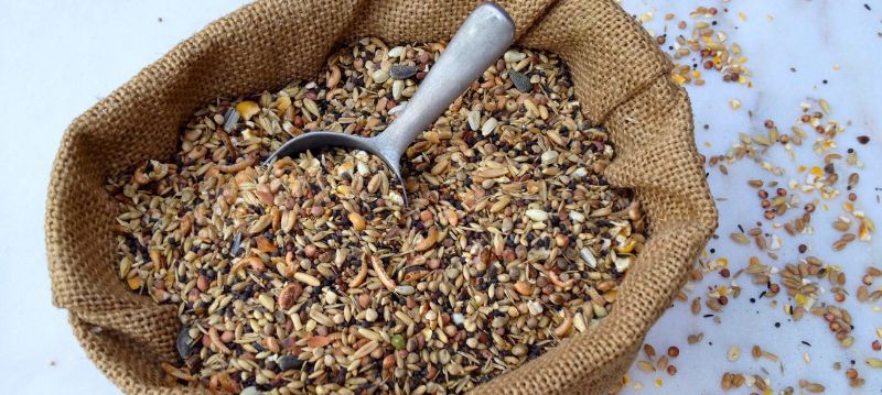 Nourriture bio volaille