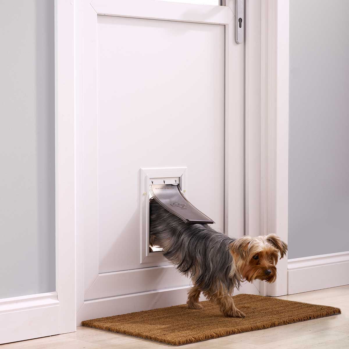PetSafe Hundeklappe Staywell 600 Aluminium, für Hunde bis 7 kg, im Einsatz