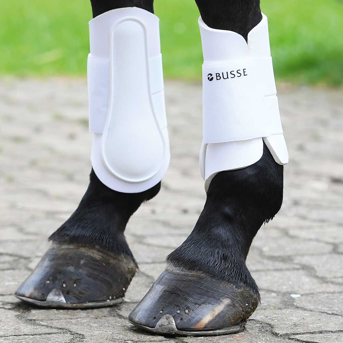 BUSSE Tendon Boots ACTIVE-PRO, Brushing & Impact Protection for Horses, in use, leg