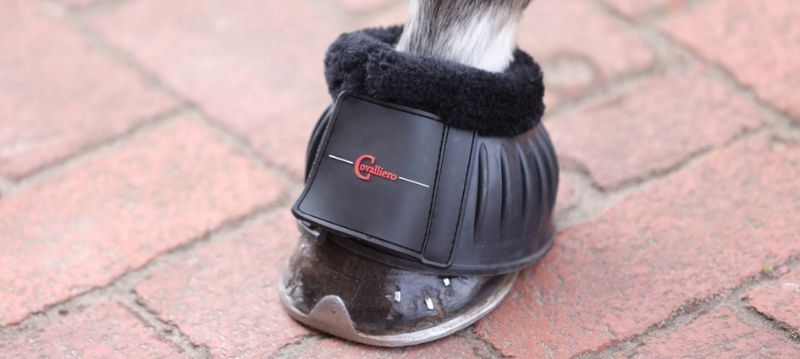 Covalliero Accessories
