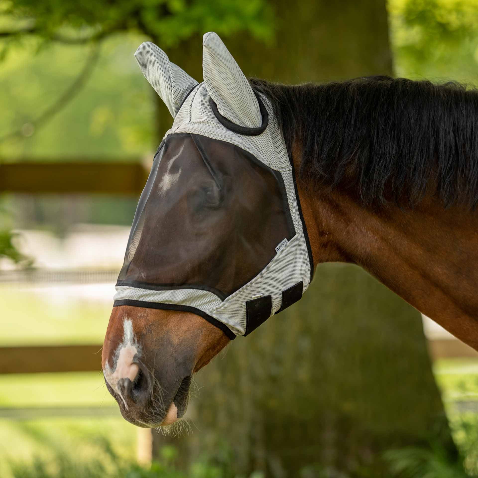 BUSSE Fliegenmaske FLY GUARD II, Augen- und Ohrenschutz für Pferde, im Einsatz