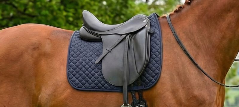 Waldhausen Selle e Accessori