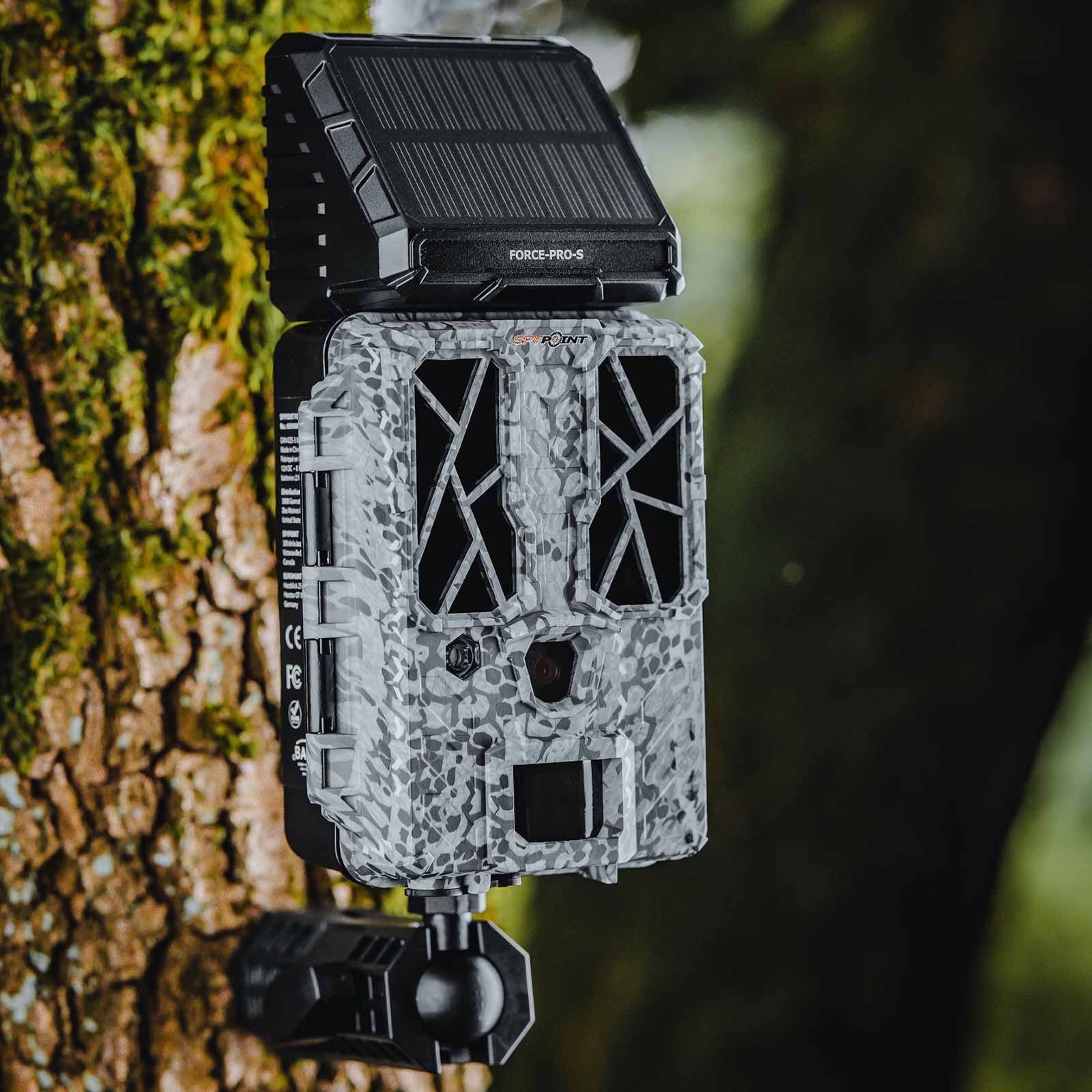 Spypoint Wildkamera FORCE-PRO-S Solar, 30 MP, 4K-Video, im Einsatz