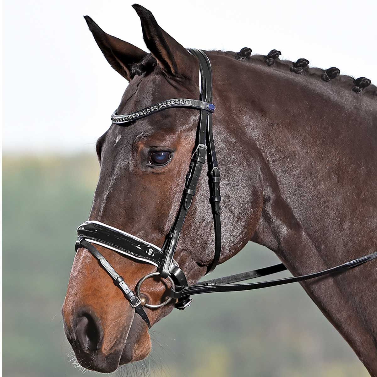 BUSSE SOLIBEL kantár LUXURY fekete-fehér/szürke cob