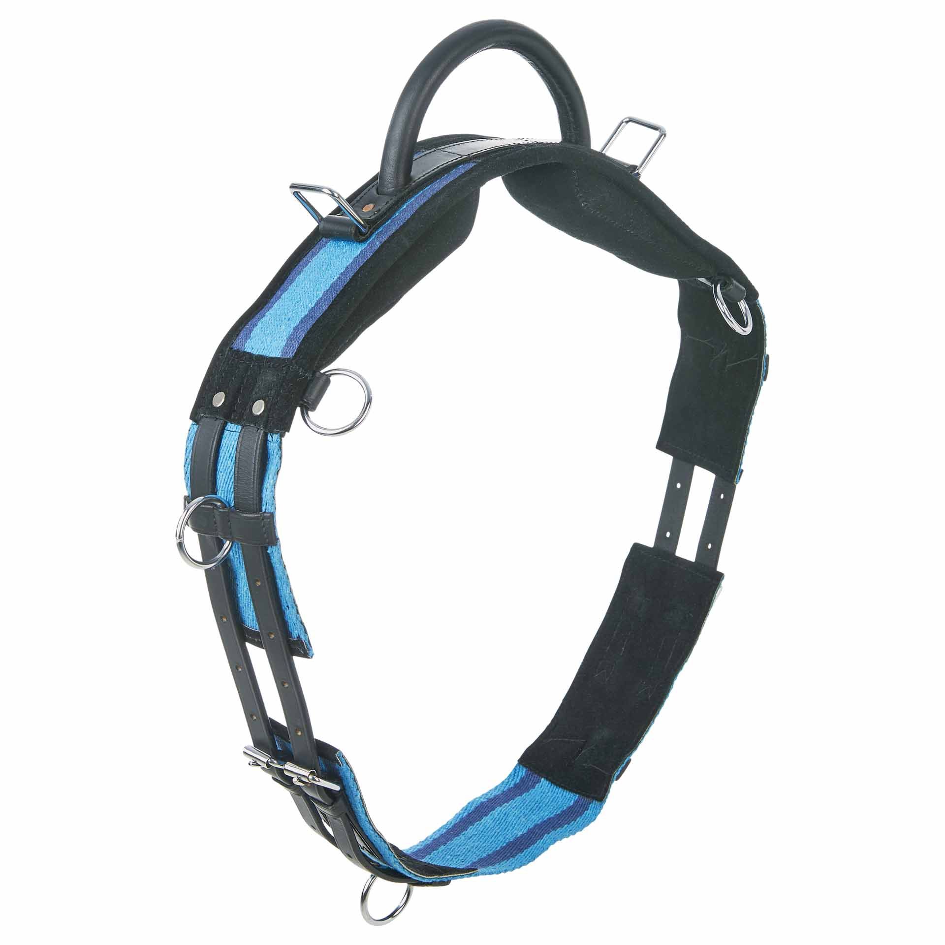 Sangle de longe BUSSE avec poignée, navy/sky blue, pour un longeage sûr