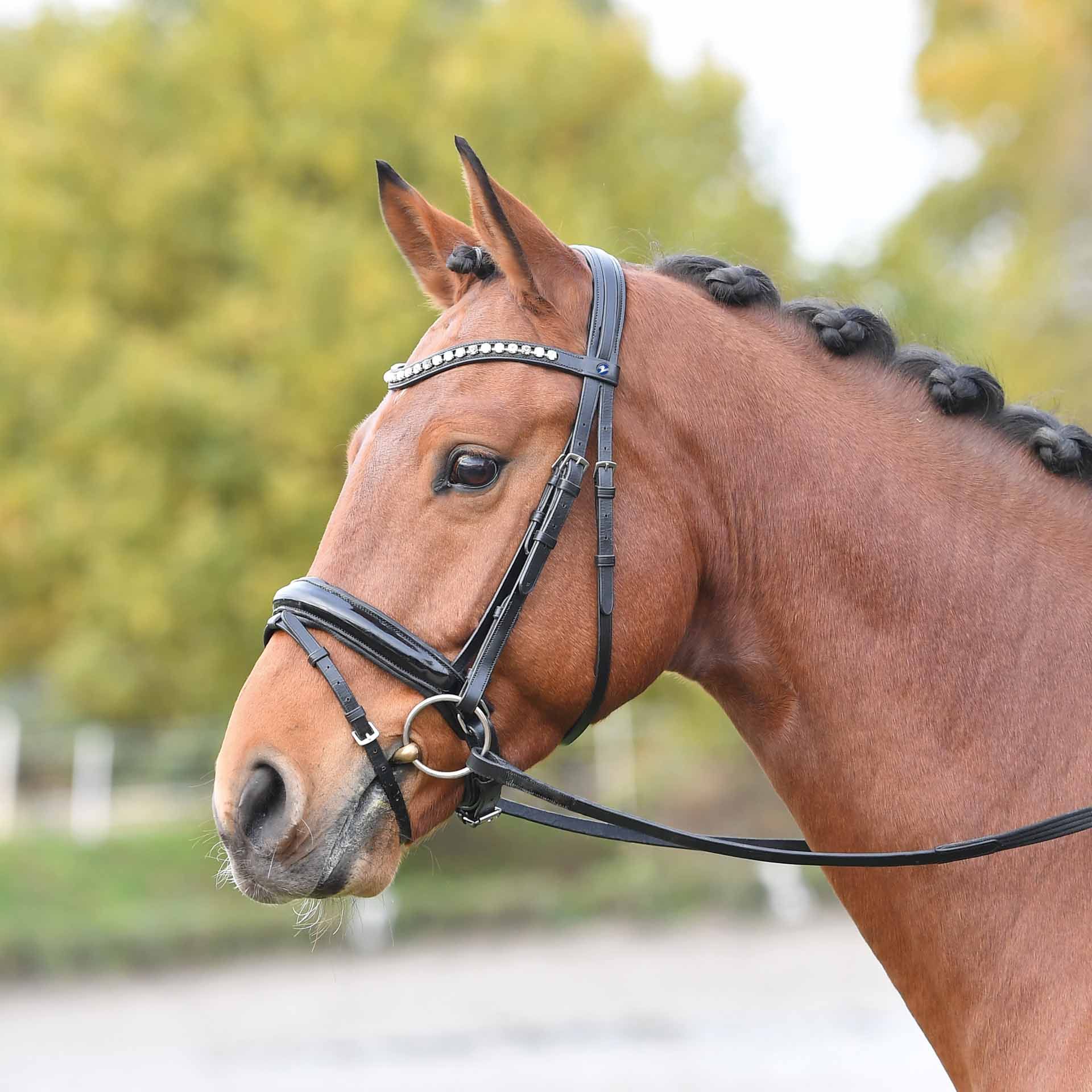 BUSSE Bridle LUXURY COB black