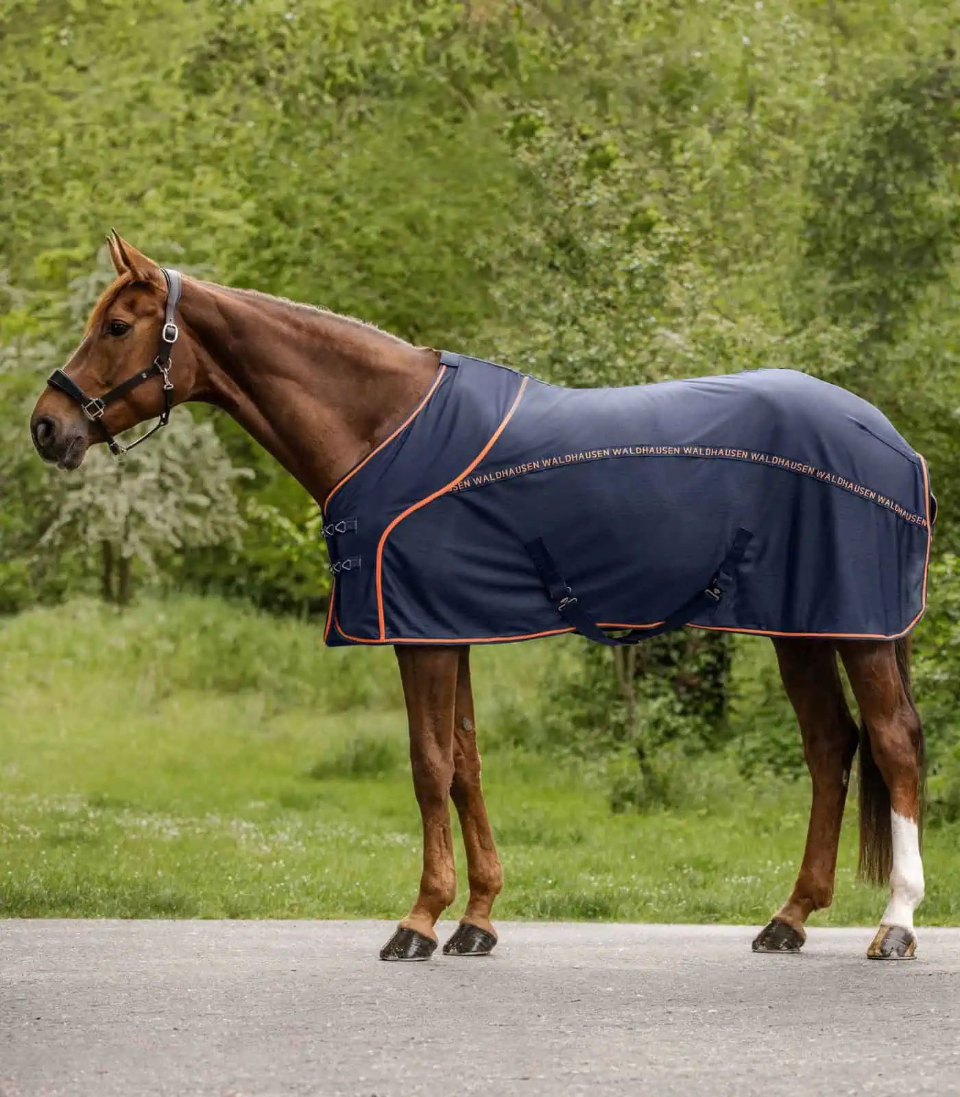 Waldhausen Cooler Fliegen-Sommerdecke, atmungsaktiv & kühlend, 135 cm