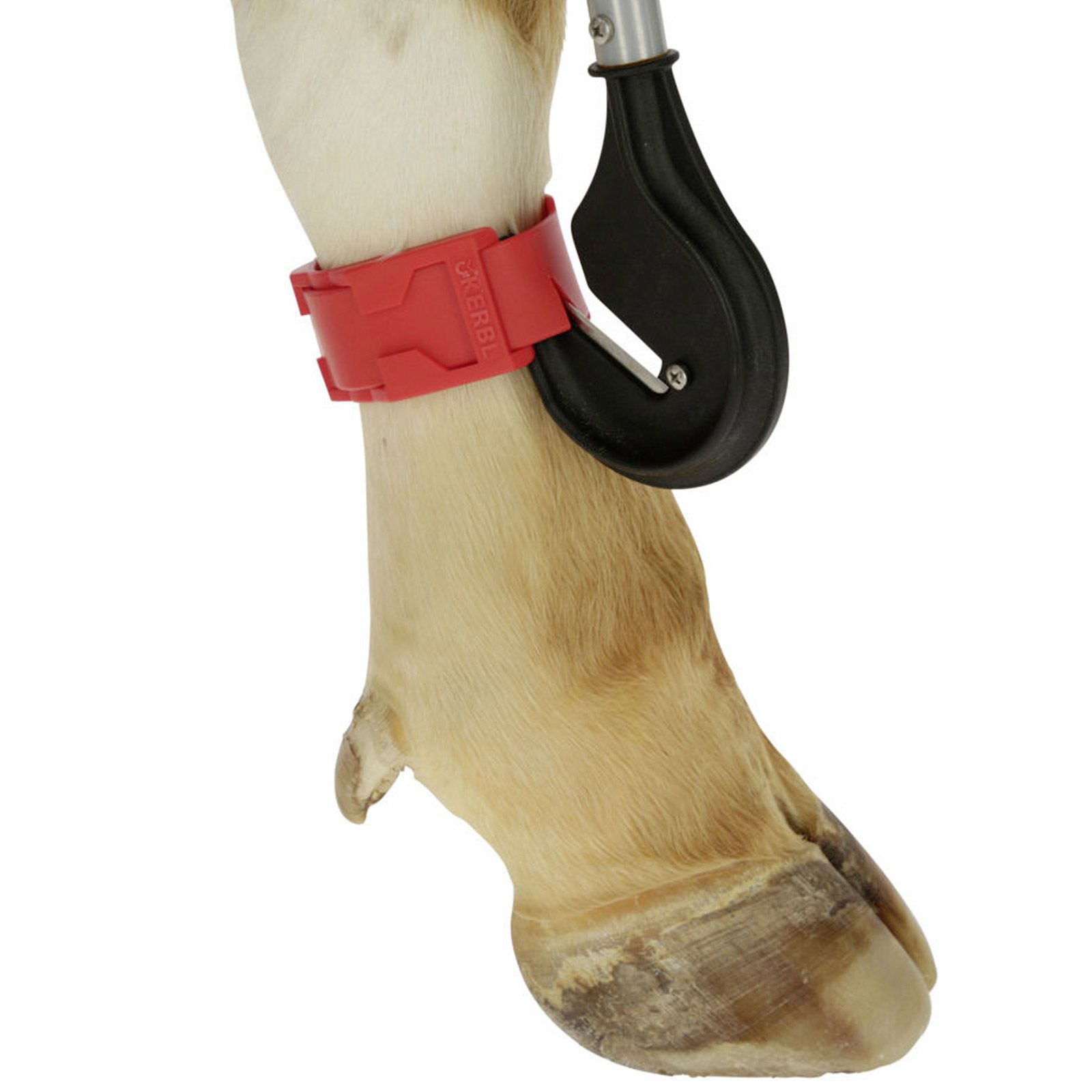 Kerbl Couteau à bandage 80 cm, lame interchangeable, en utilisation, jambe