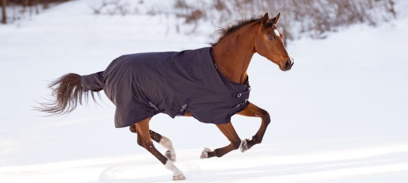 Couverture pour cheval