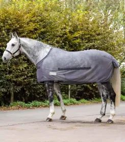 Grau geschecktes Pferd steht auf gepflastertem Weg, mit grauer Abschwitzdecke bekleidet, im Hintergrund Buesche