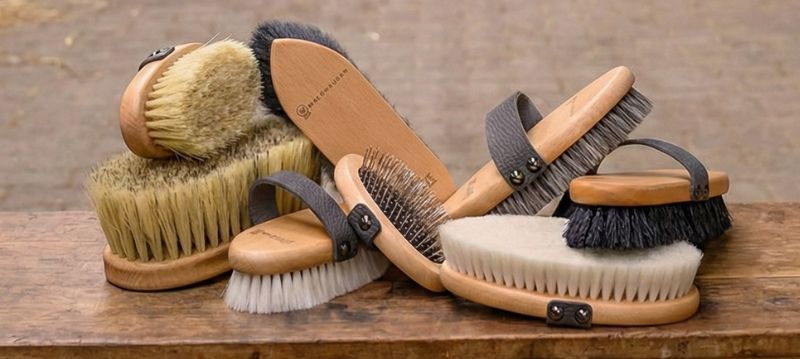 Waldhausen Grooming Kit