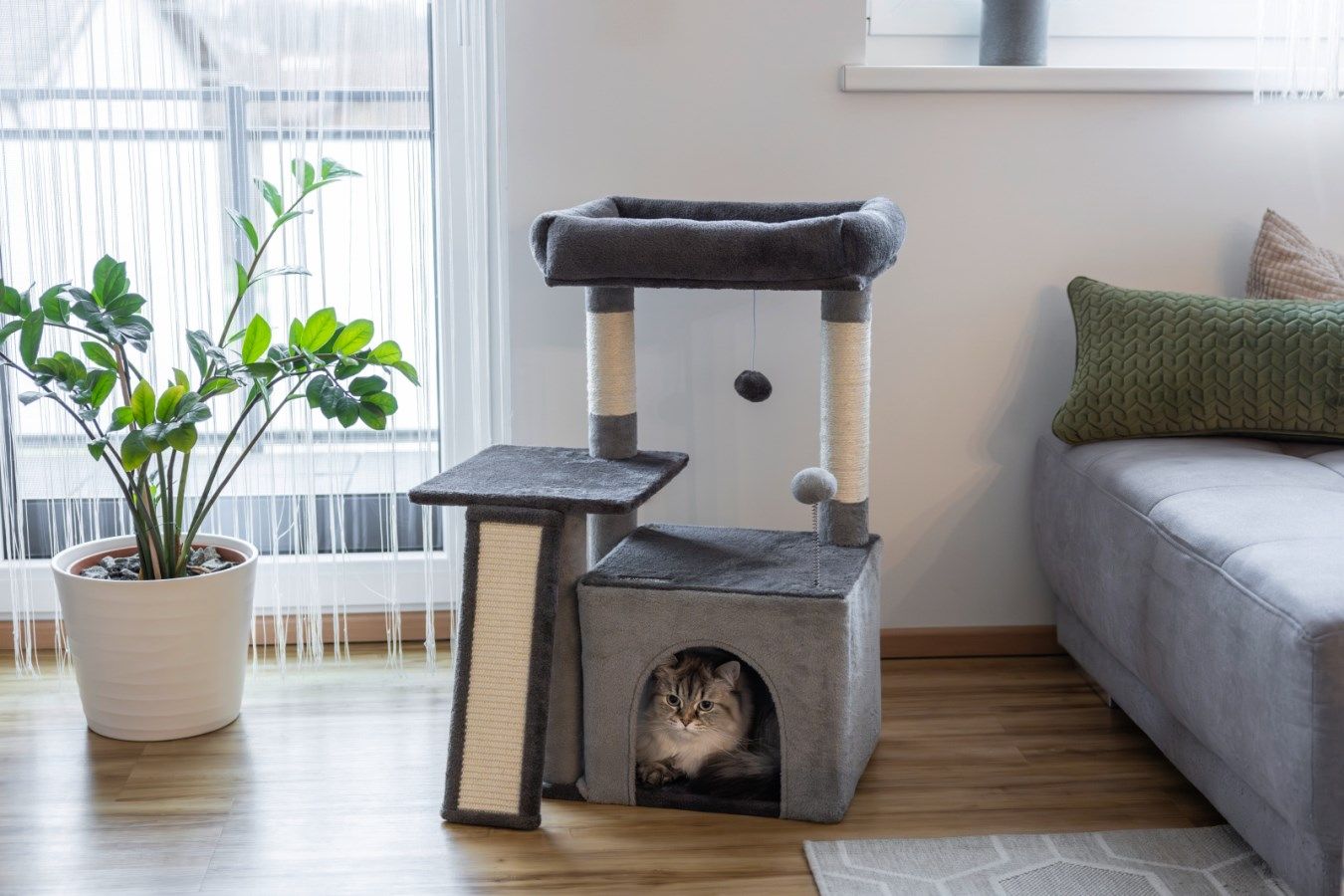 cat tree, cat condo, scratching post, pet furniture, grey