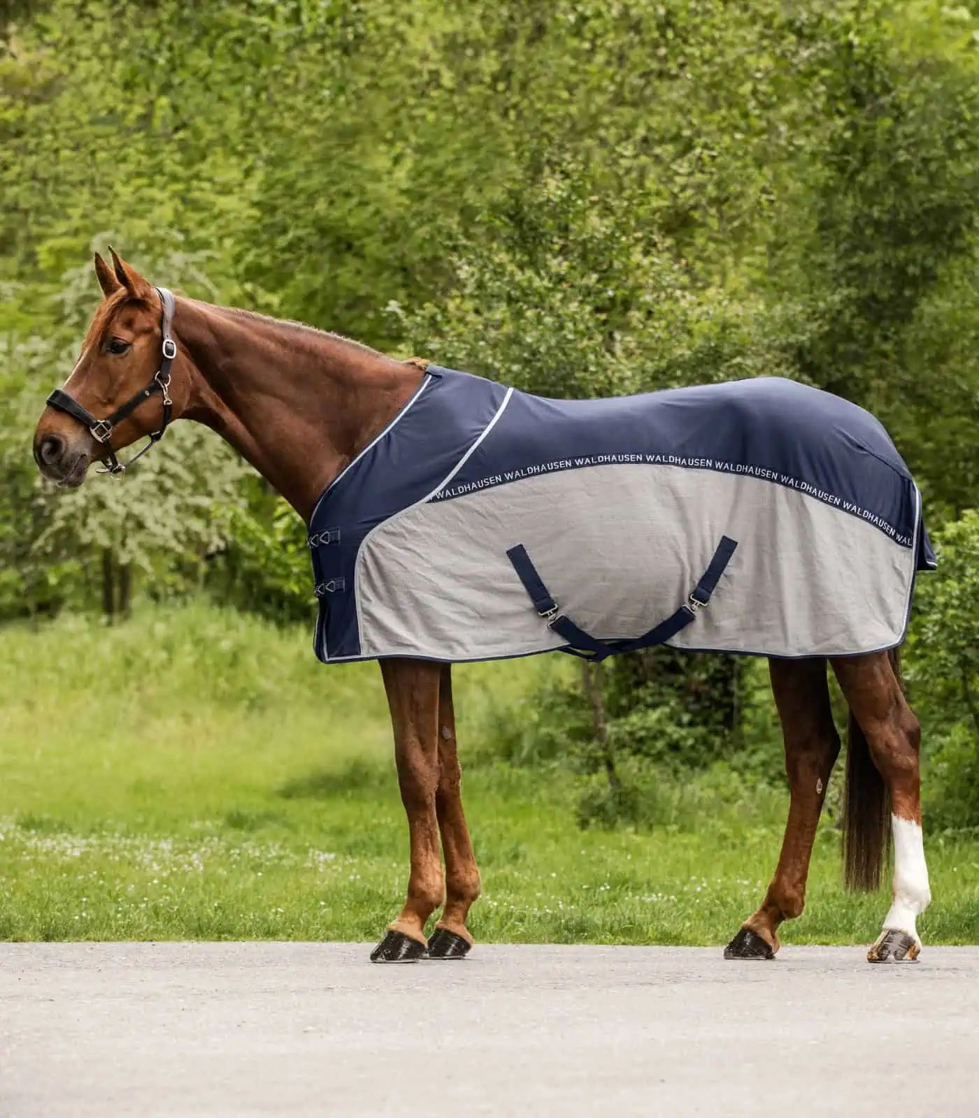 Waldhausen Couverture d'été anti-mouches Cooler, respirante, 145 cm