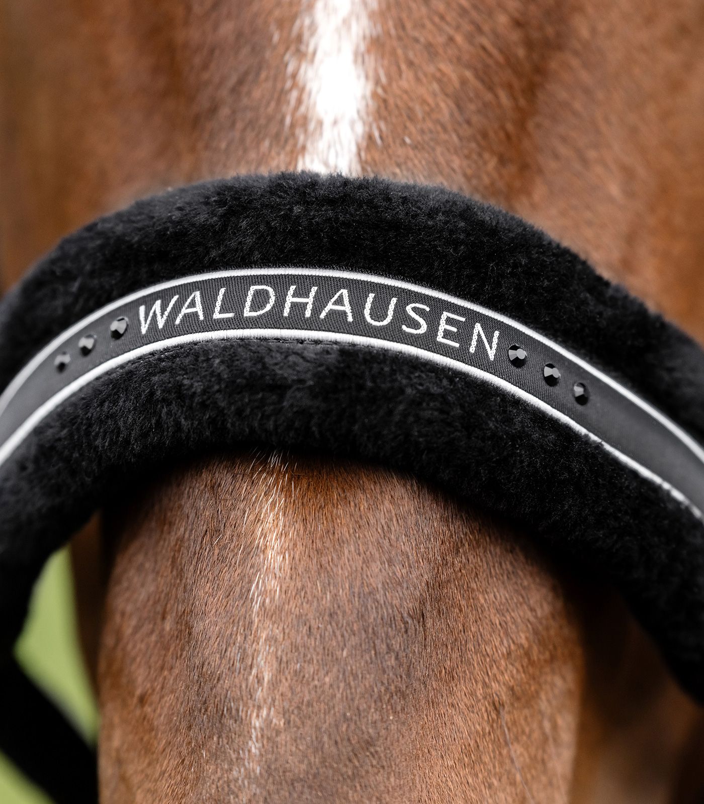Waldhausen Halfter Elegant, schwarz