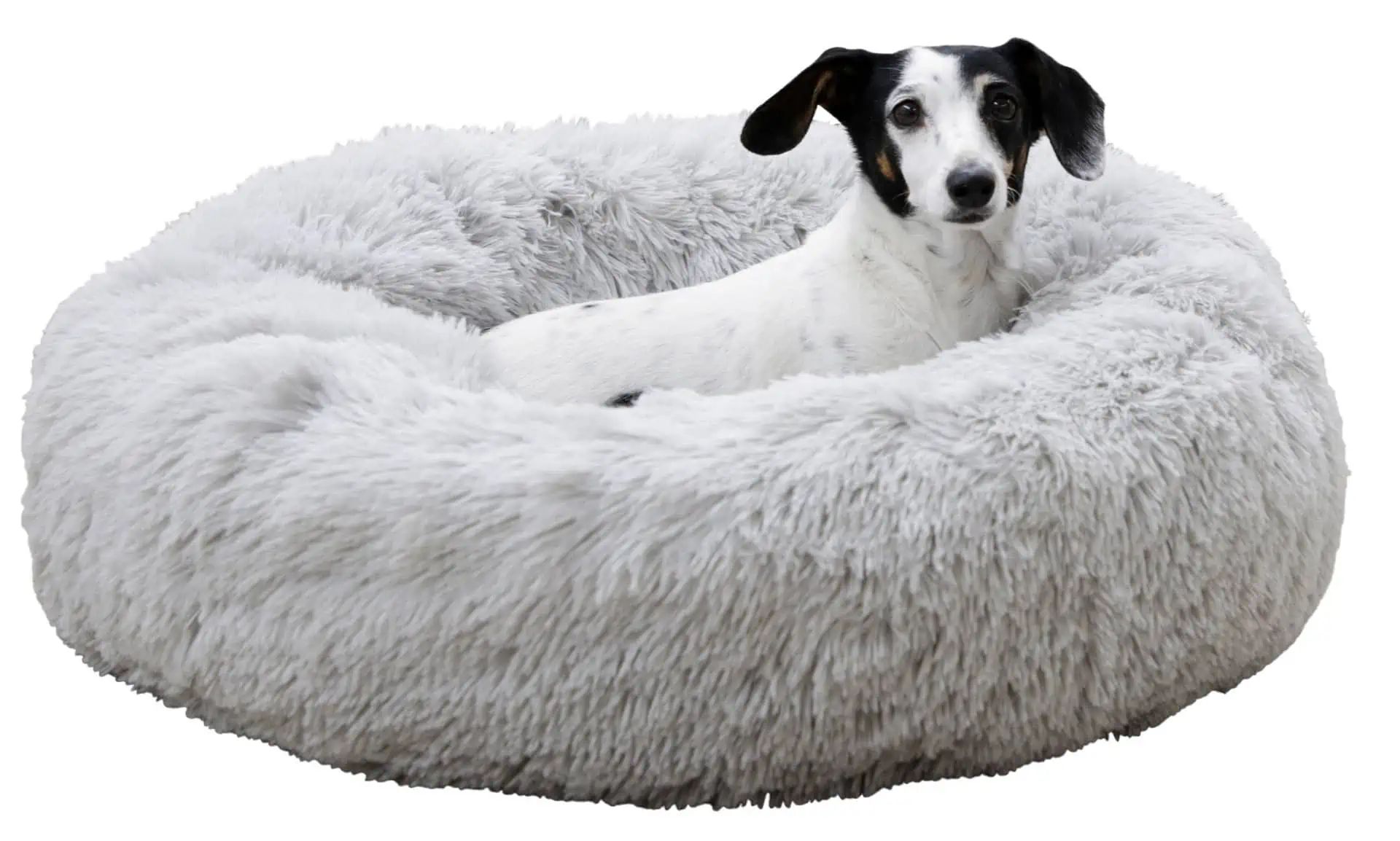 Kerbl Cosy Bed Fluffy Dog & Cat Bed, Light Grey, Donut-Shaped Plush, in use