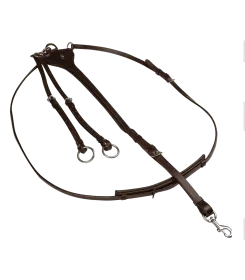 Dunkelbraunes Lederzaumzeug mit Ringen und Karabinerhaken für Pferde