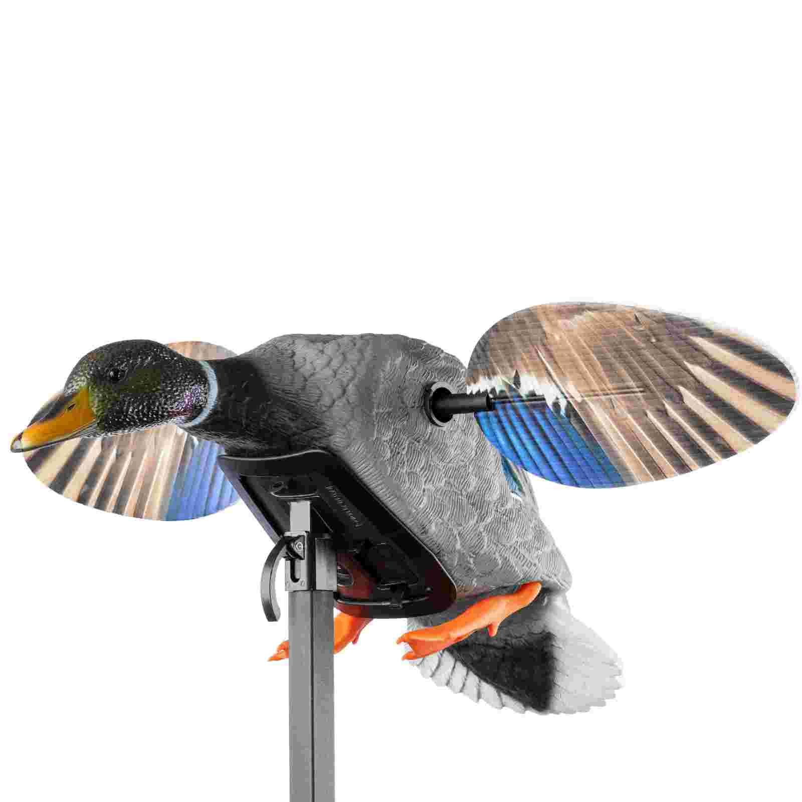 Mini Mojo Mallard Drake