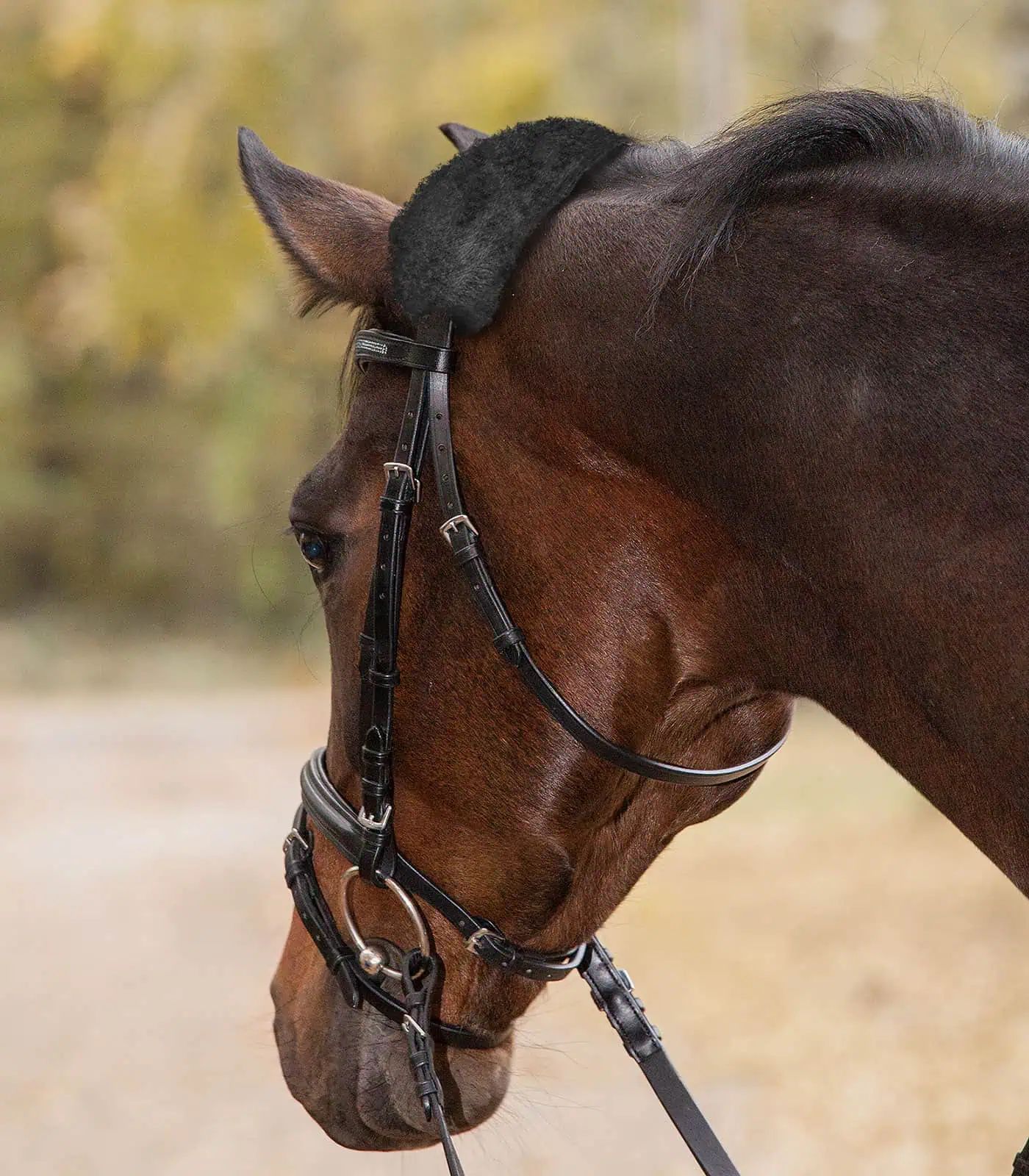Waldhausen Nascălătură din Blană de Miel, 27 cm negru