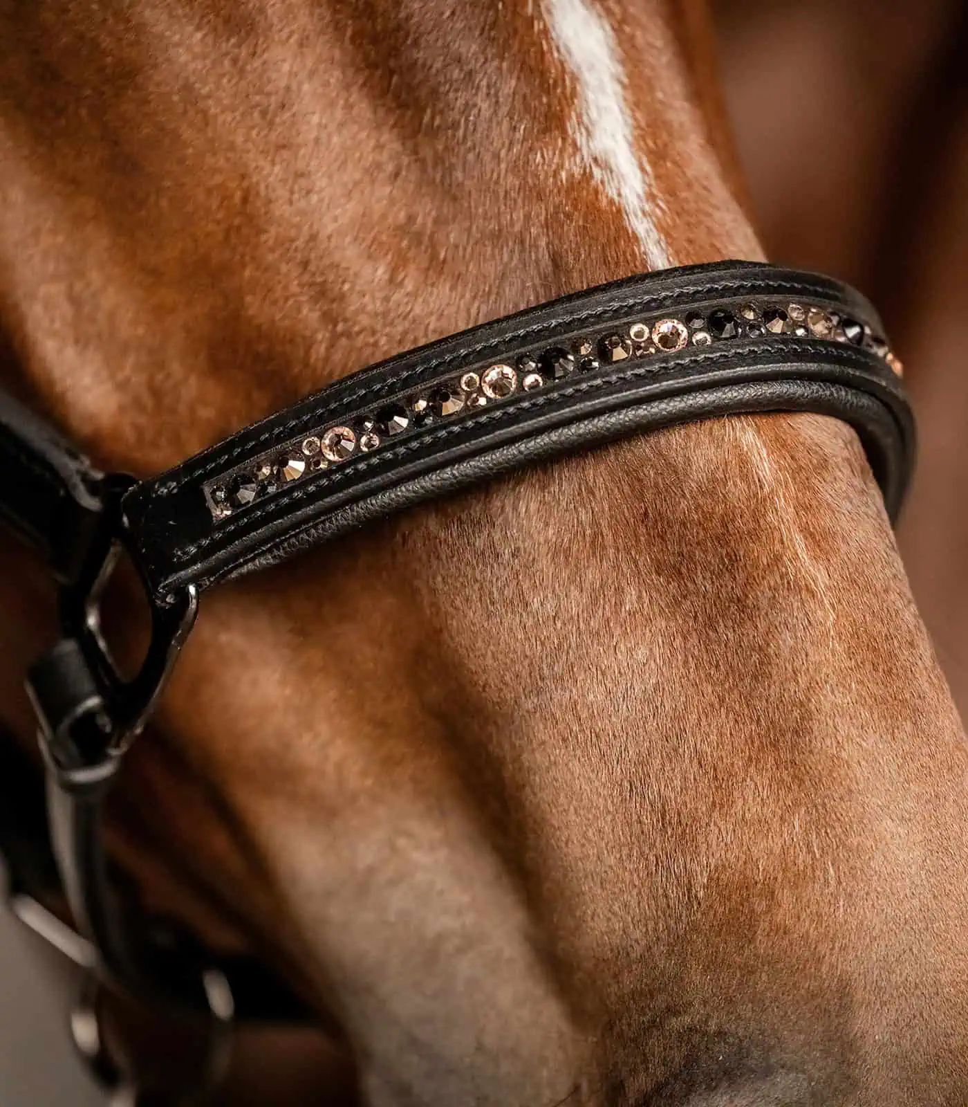 Waldhausen X-Line Capezza in cuoio Crystal, elegante con strass, dettaglio