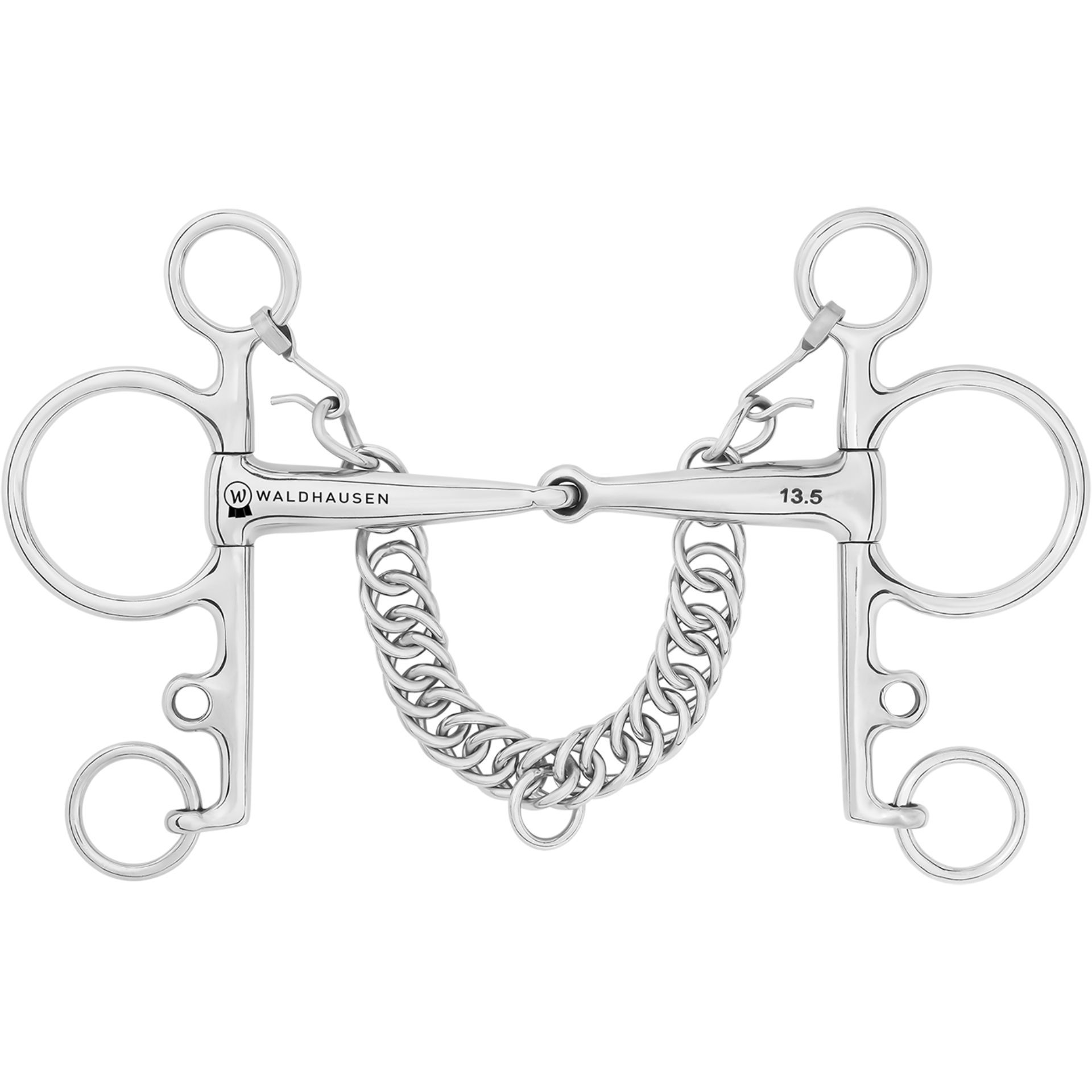 biting-bridle, horse-bit, silver-bitted, curb-bit, chains
