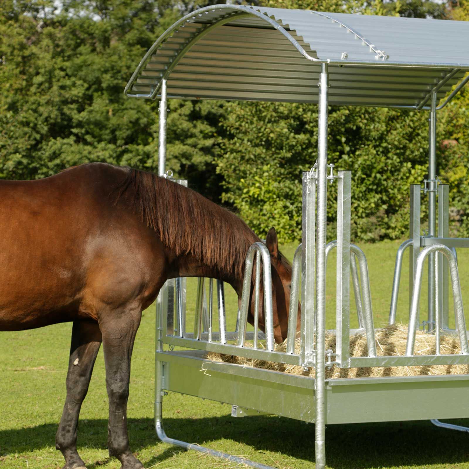 Kerbl Râtelier carré Cheval & Bovin avec cornadis en palissade, en utilisation, au pré