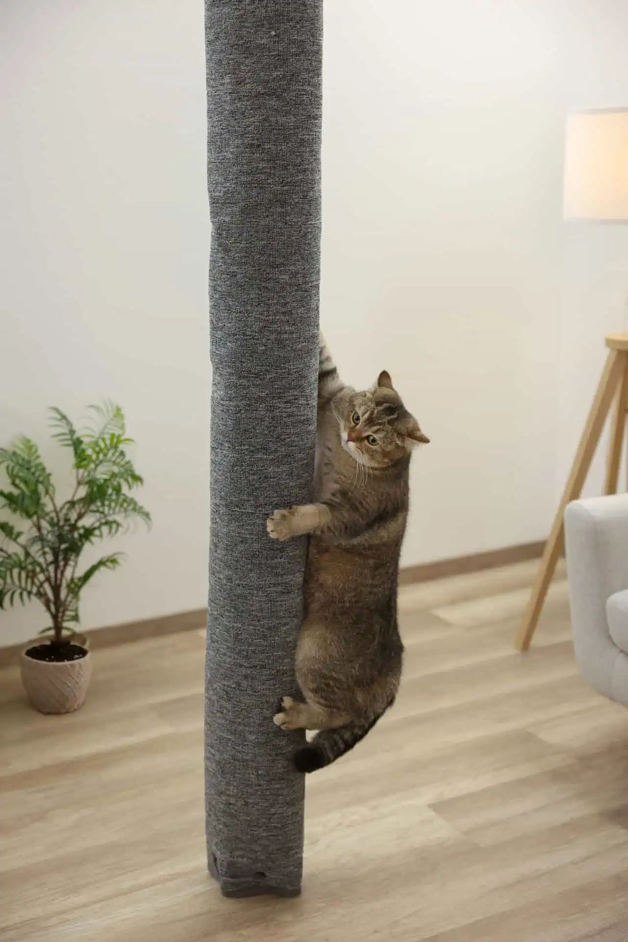 Sac d'escalade Carpet Kerbl pour chats, gris, 240 cm, en utilisation