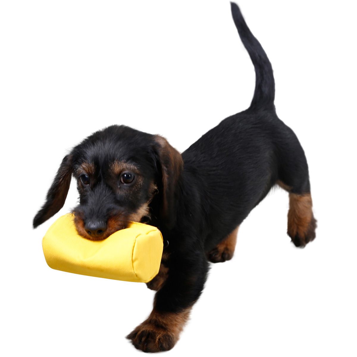 Kerbl Pet Snack-Dummy kutyáknak, újratölthető, vízlepergető anyagból, sárga