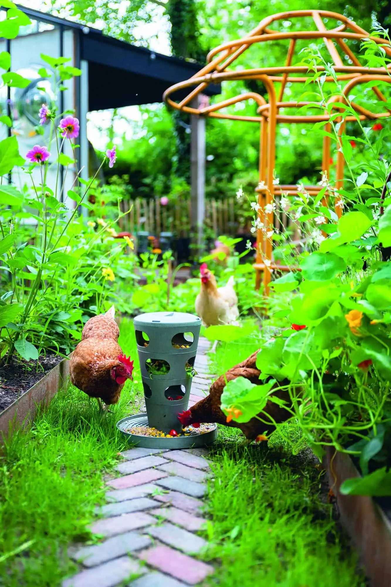 Beeztees Chicken Feed Tower, in use