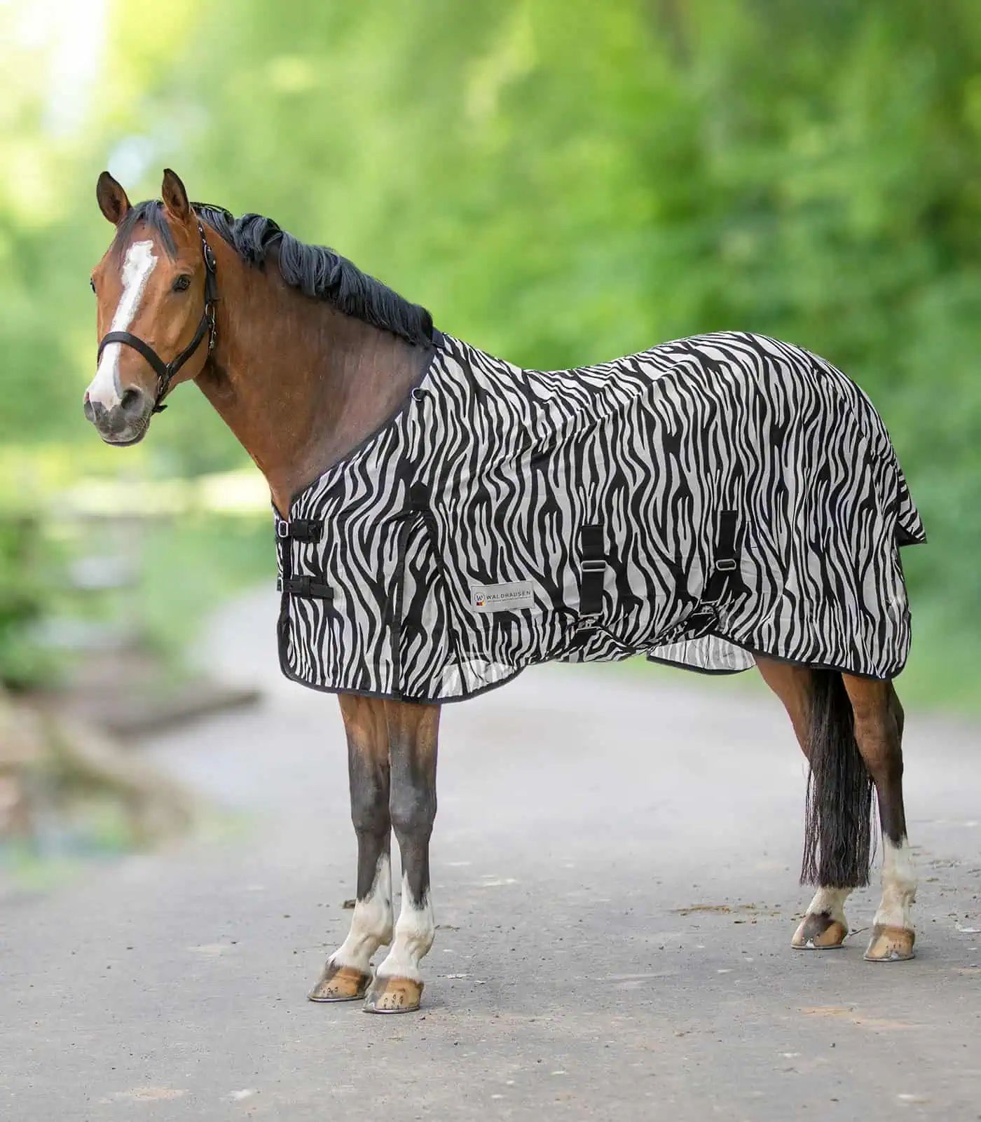 Chemise anti-mouches Zebra Waldhausen, maille fine avec rabats, 105 cm