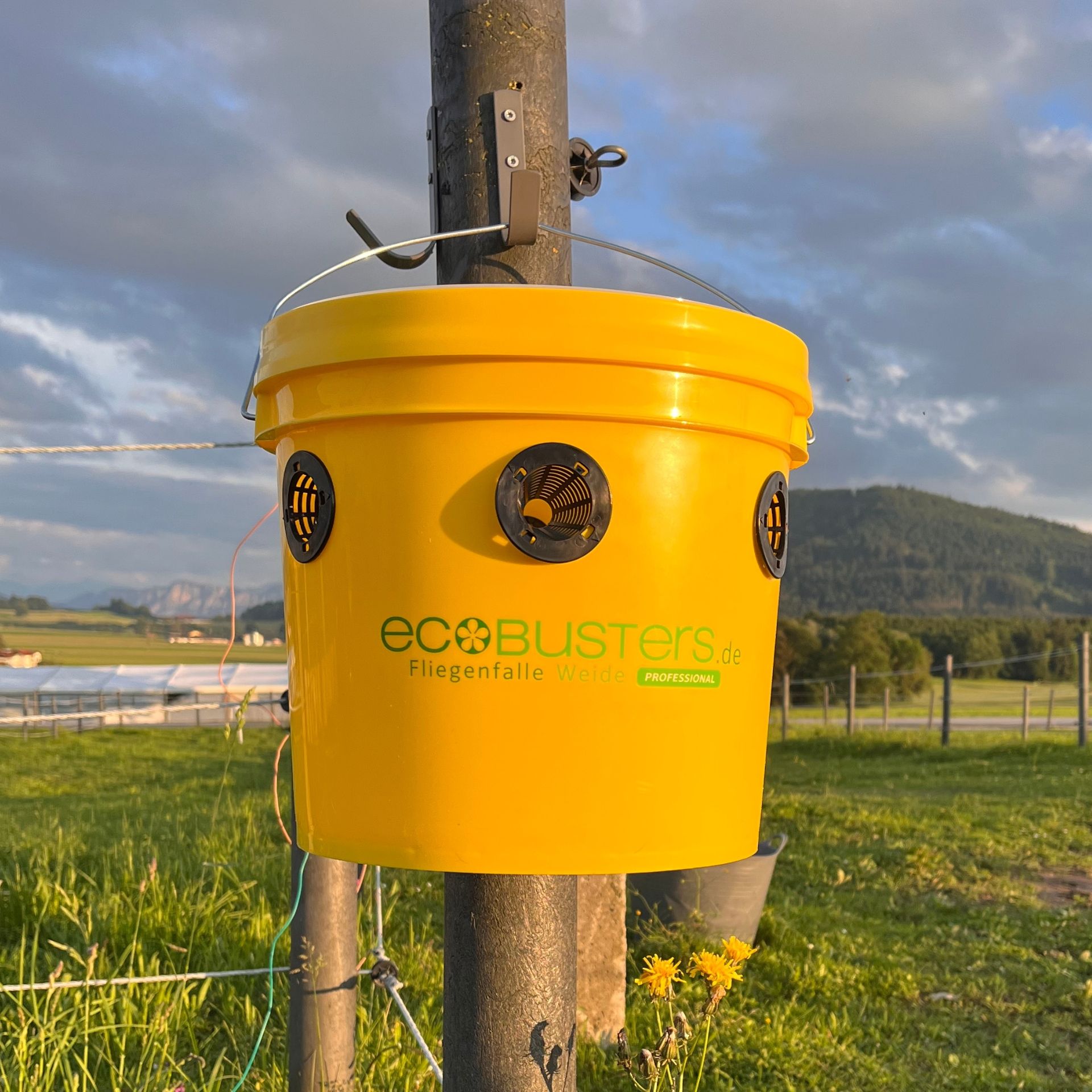 EcoBusters Flugfälla Willow Set inkl. lockmedel, i användning, på hagen