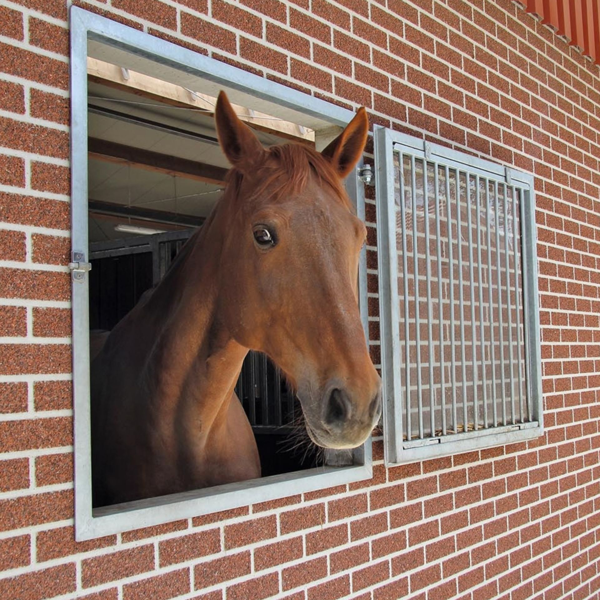 Pferd, Pferdekopf, Stall, Ziegelstein, fensterstall