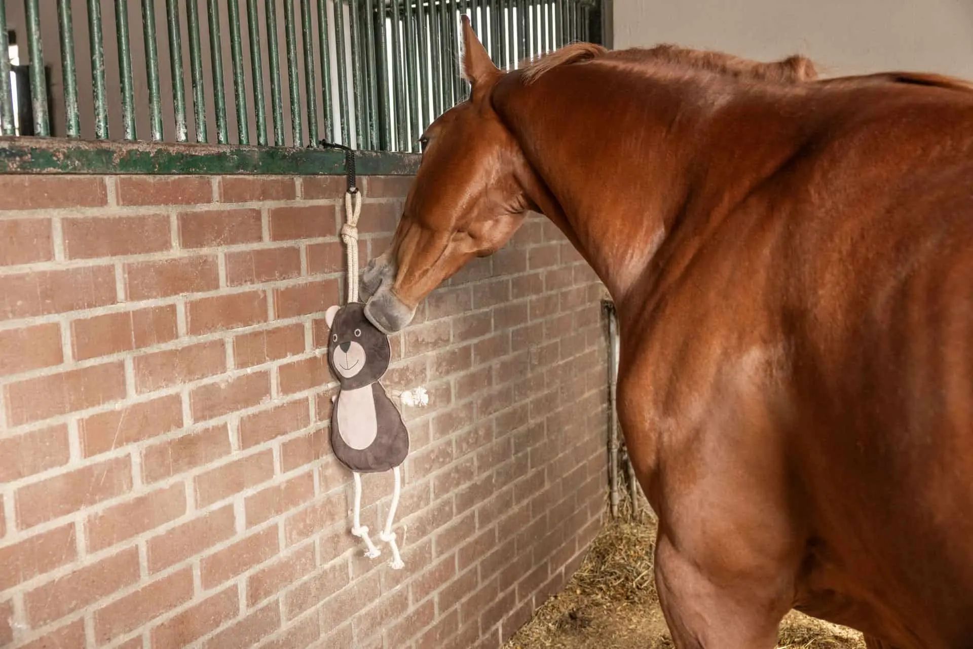 Kerbl Pferdespielzeug Bär, Wildleder mit Kokosfaserfüllung, im Einsatz, im Stall