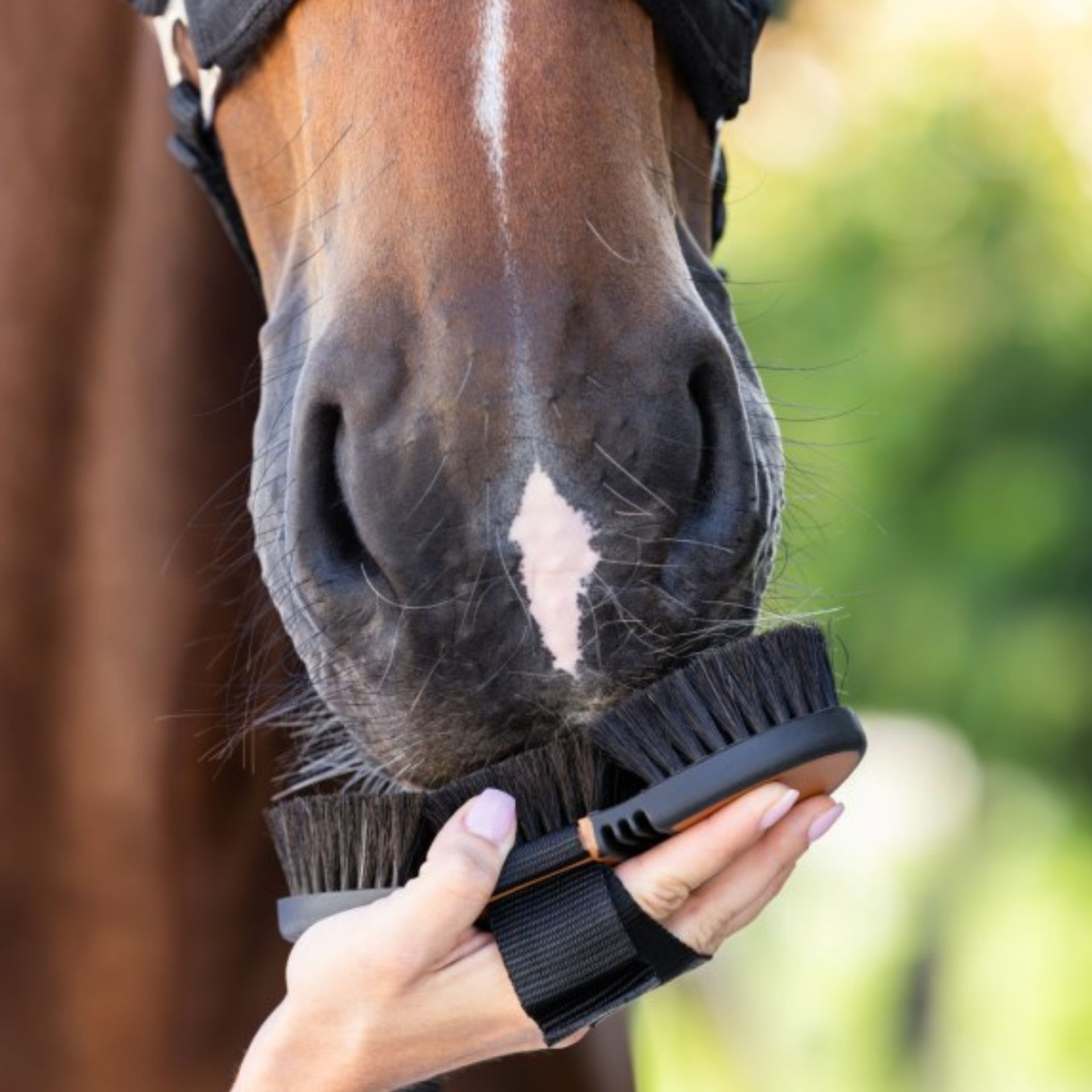 Covalliero Perie de cai Flex HorseHair 2K, cu peri din păr de cal, în utilizare, în mână