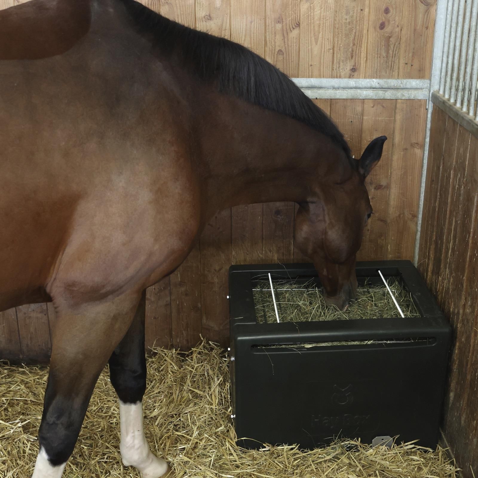 Kerbl Heubox HayBox mit Metallgitter für Pferde, staubarm, ca. 8-10 kg Heu, im Einsatz, im Stall