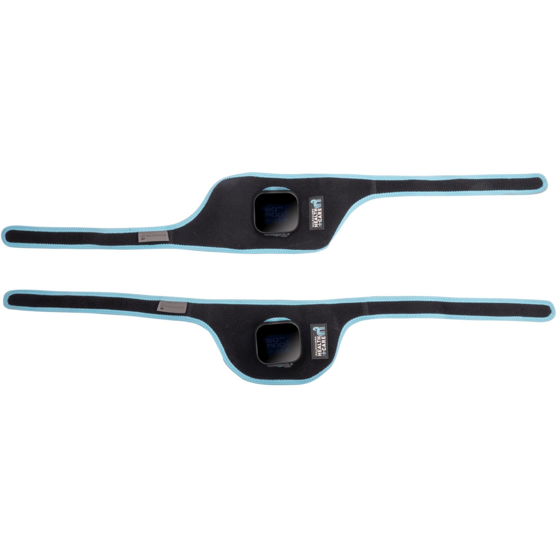 swim goggle, eye protection, strap, adjustable, blue black