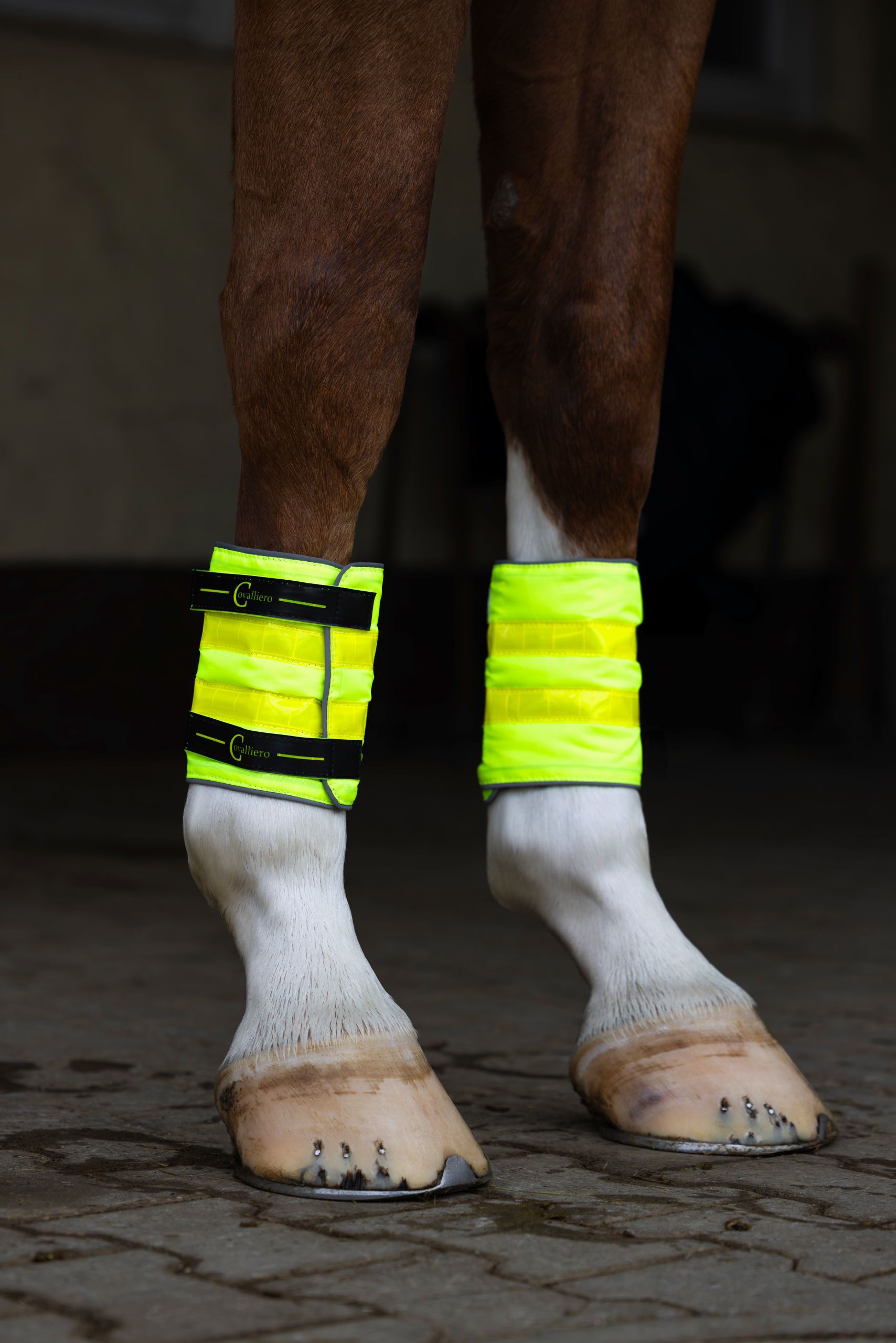 horse, horse legs, neon leg wraps, leg wraps, horse footwear