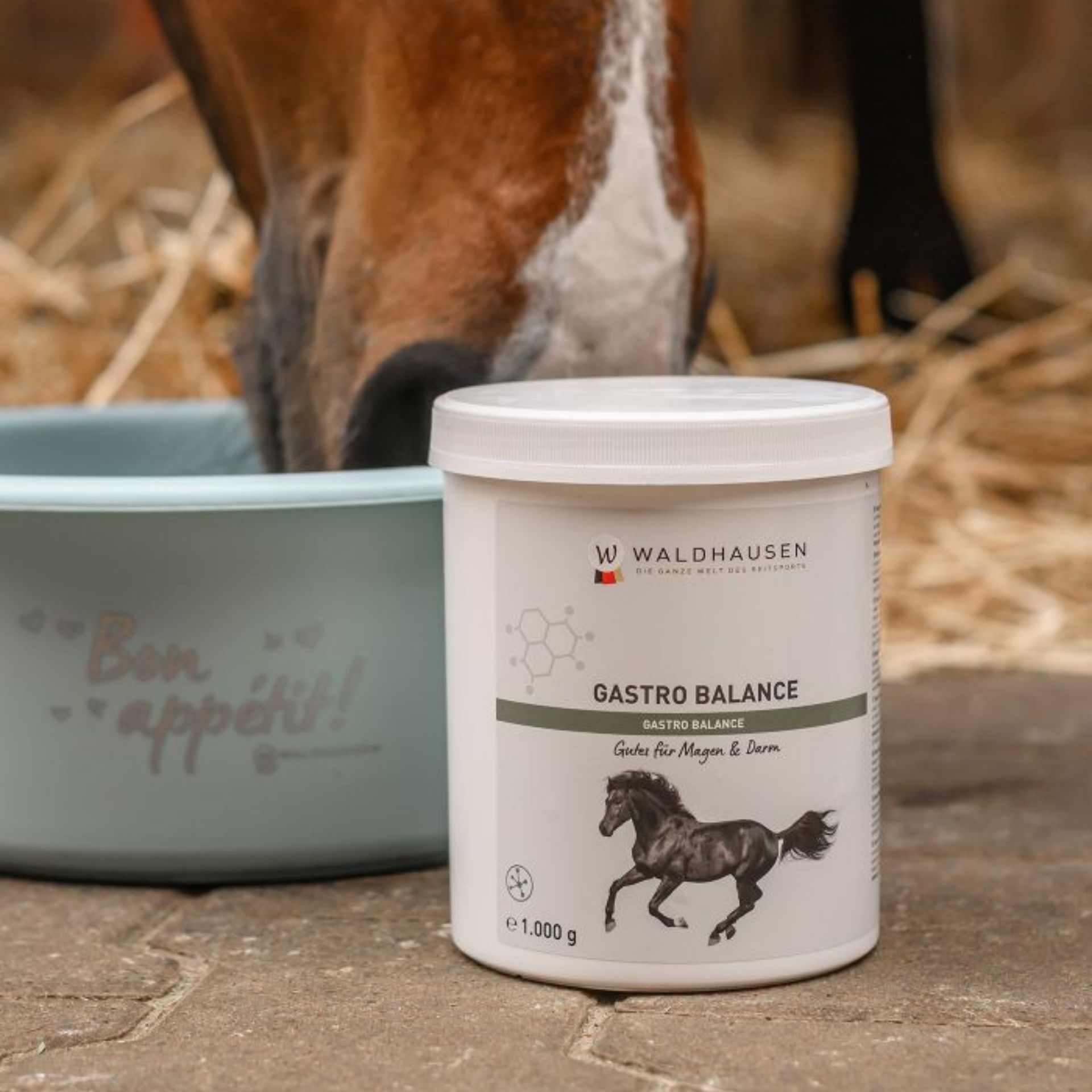 gastro balance, horse supplement, 1000 g, gastrointestinal, powder