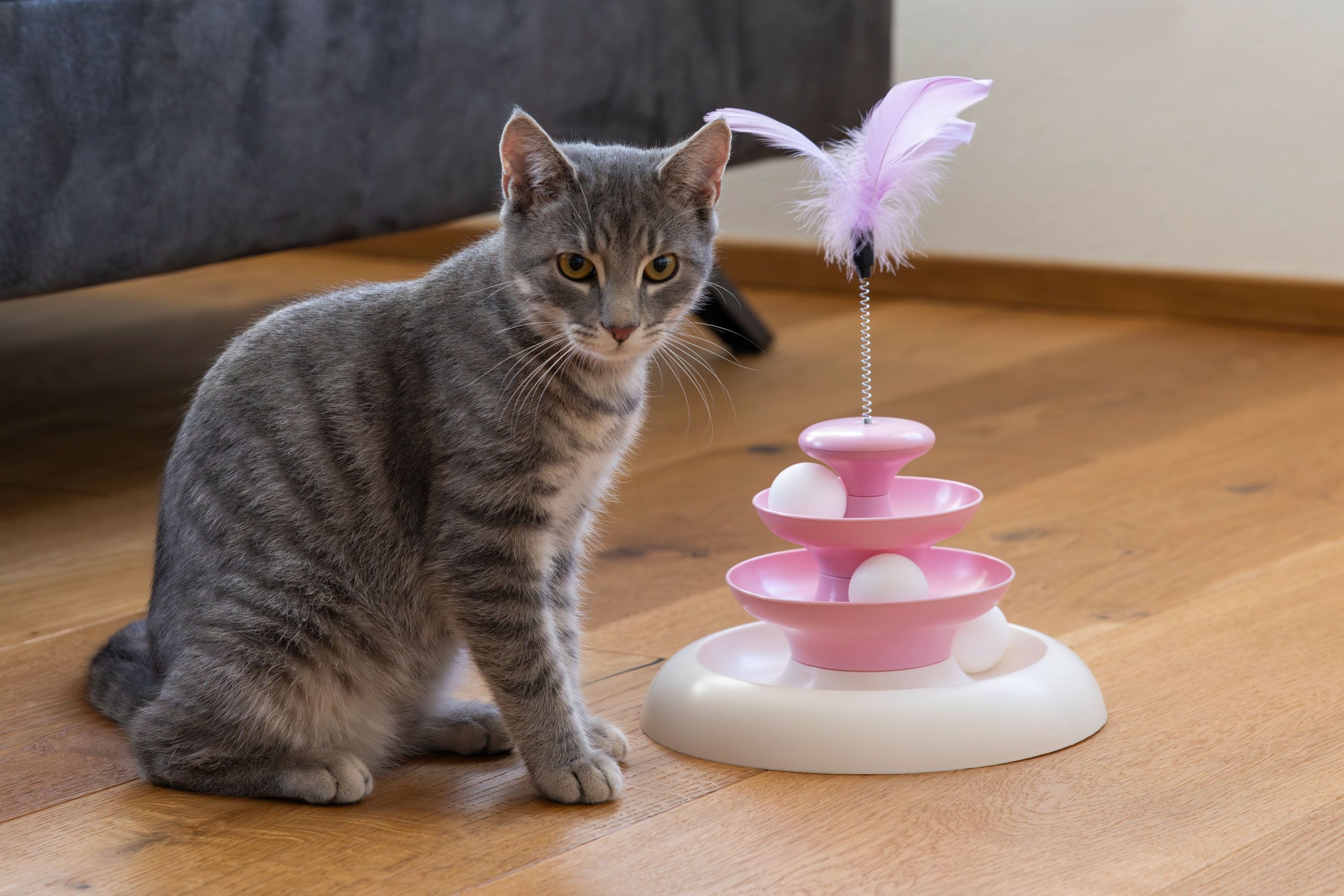 Kerbl Cloudi Cat Toy with 3 Levels, pink, 24 x 24 cm, in use
