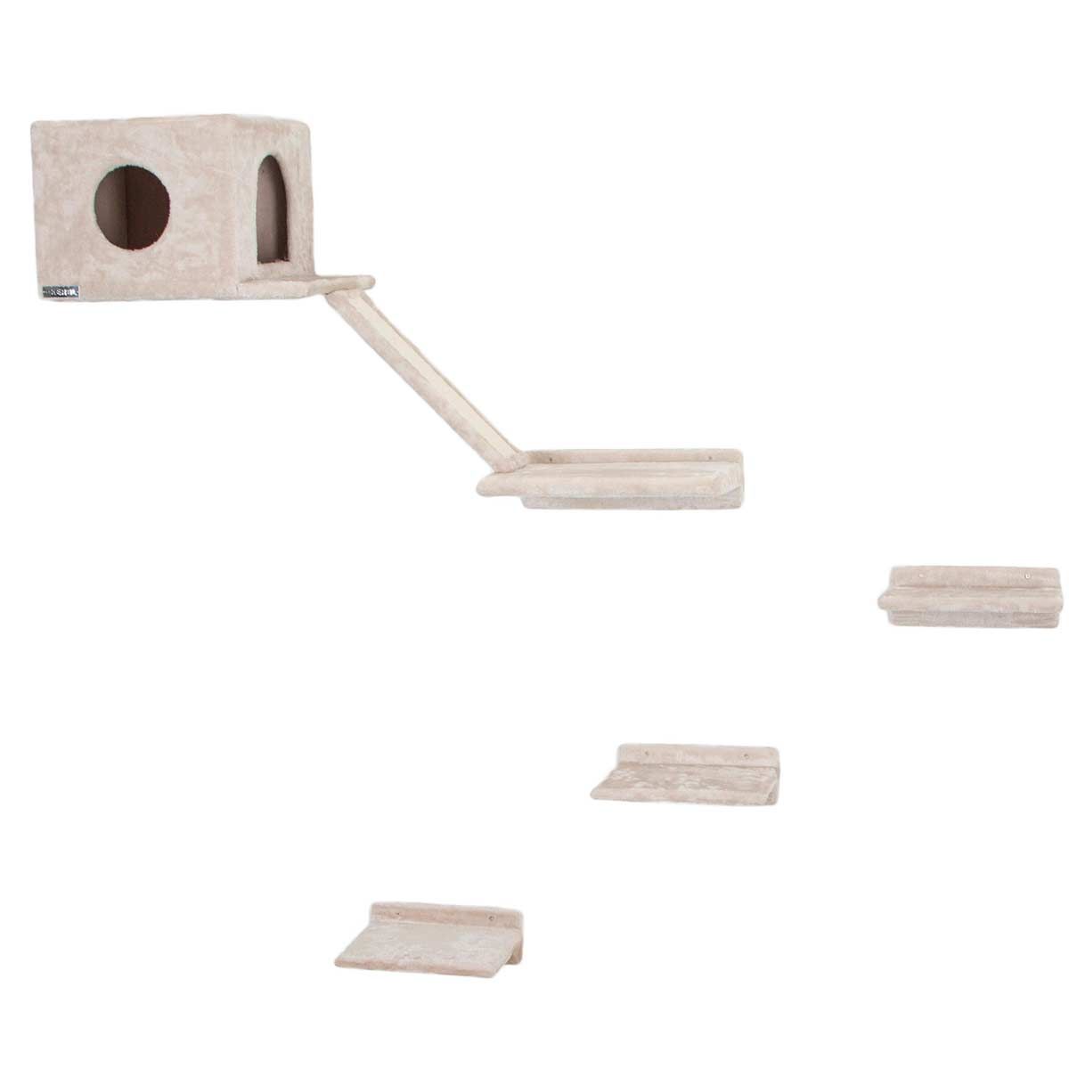Kletterwand Katze Montblanc