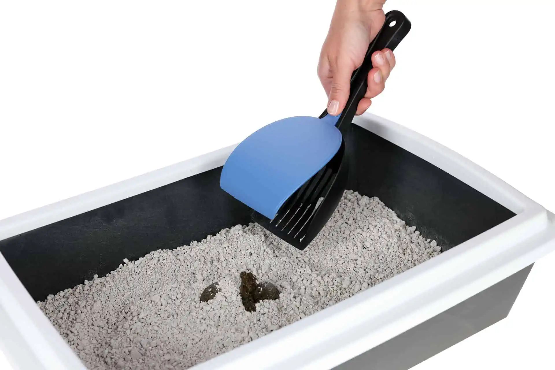 Pelle à litière Shaker Kerbl avec couvercle, économe, 28 x 10 cm