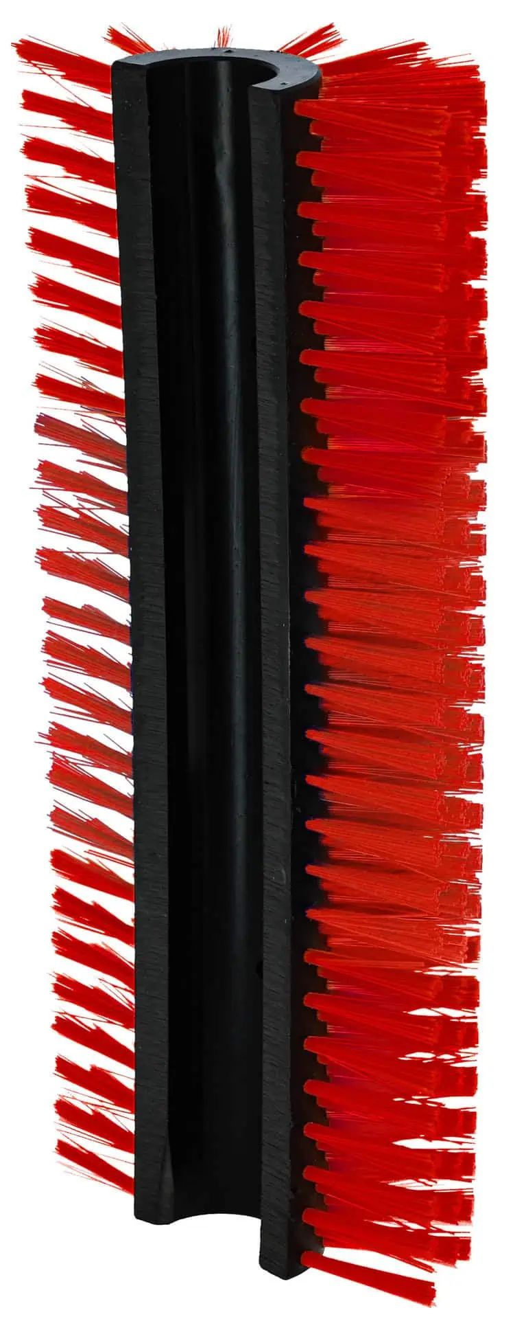 Agrarzone Brosse à gratter Benno 19x45 cm pour bovins et chevaux, vue arrière, support